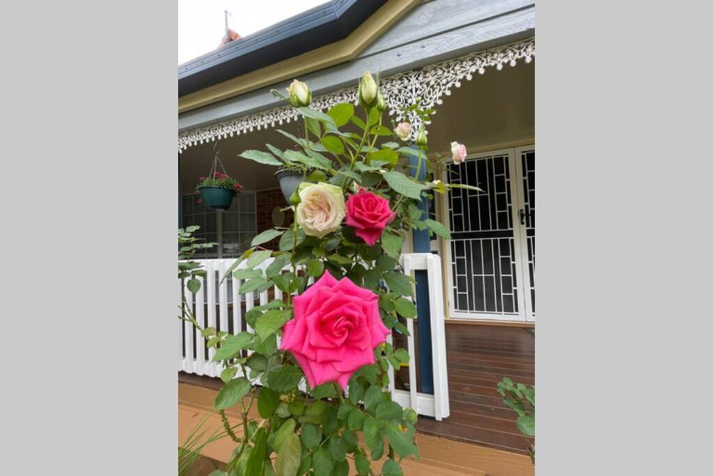 Mountain Living With Ocean Views Vila Mount Tamborine Exterior foto